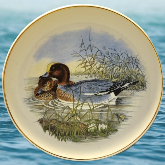 Vtg PRINKNASH POTTERY PLATE EARTHENWARE WILDFOWL SERIES PLATE NUMBER 3 WIDGEON - Picture 1 of 3